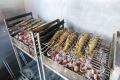 images/Bilder-Veranstaltungen/Fischerfest-2019/FF-2019/FF19-02.jpg