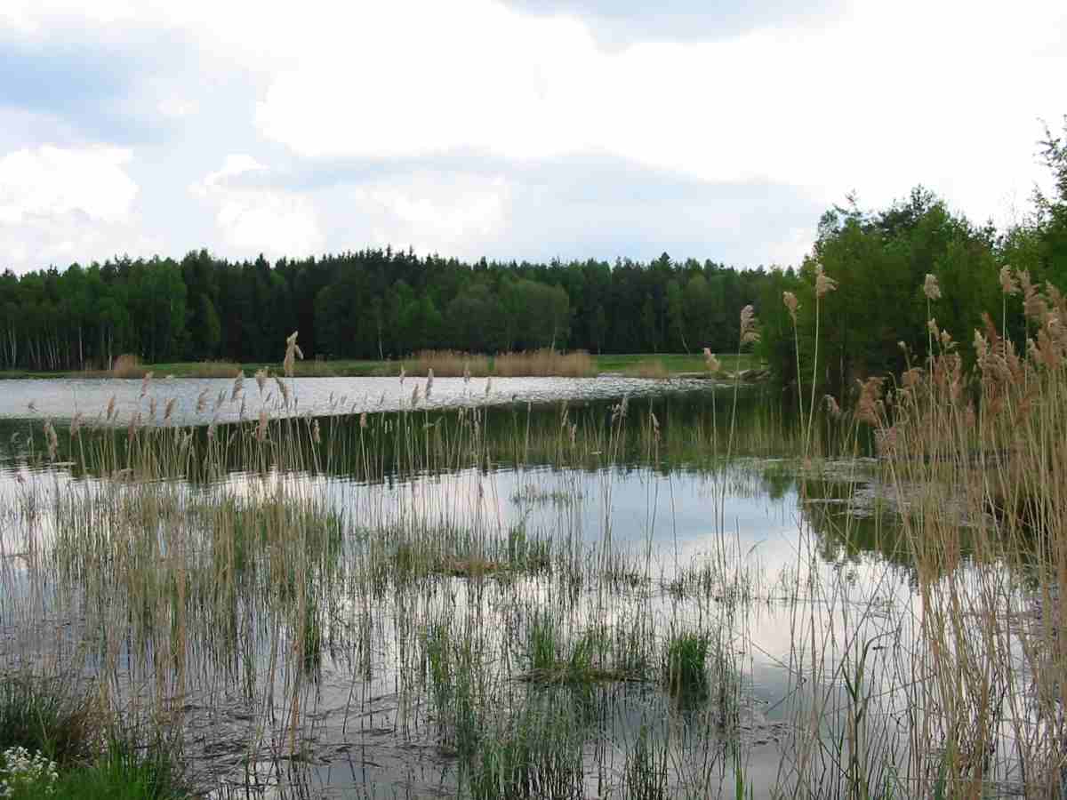 2026-Tongrube5