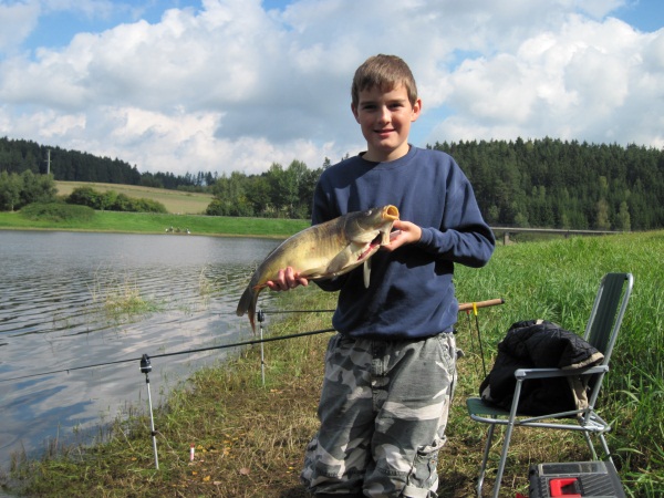 karpfen meier