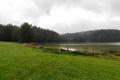 images/Koenigsfischen/KF2021/KF21-5.jpg
