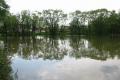 images/Luftbilder/BS/BS-Rathaushuettenteich/rathaushuettent3a.jpg