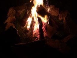 img-20190804-wa0004-163
